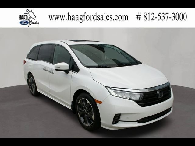 2024 Honda Odyssey Elite