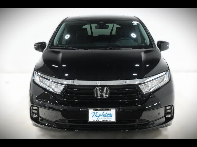 2024 Honda Odyssey Elite