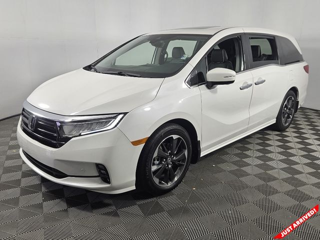 2024 Honda Odyssey Elite