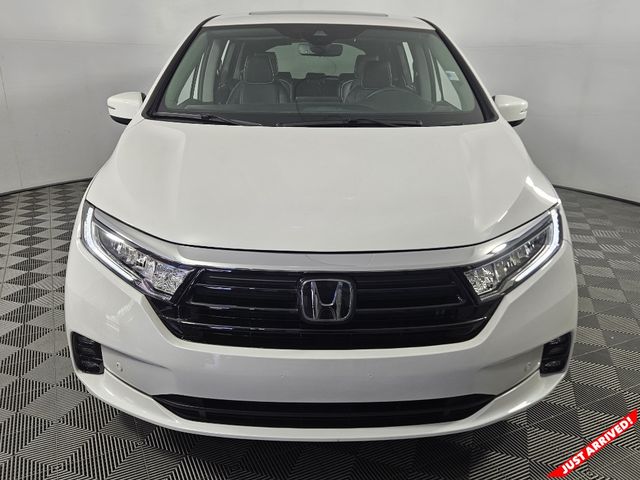 2024 Honda Odyssey Elite