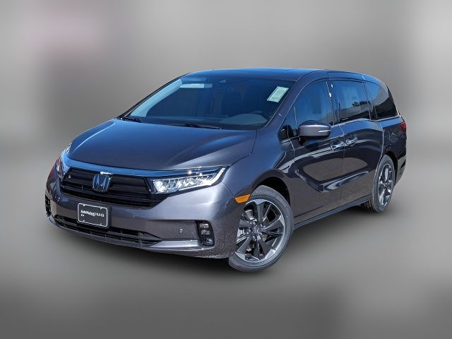 2024 Honda Odyssey Elite