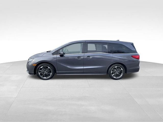 2024 Honda Odyssey Elite