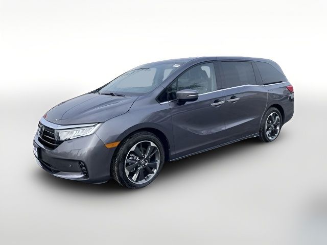 2024 Honda Odyssey Elite