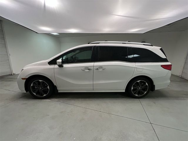 2024 Honda Odyssey Elite