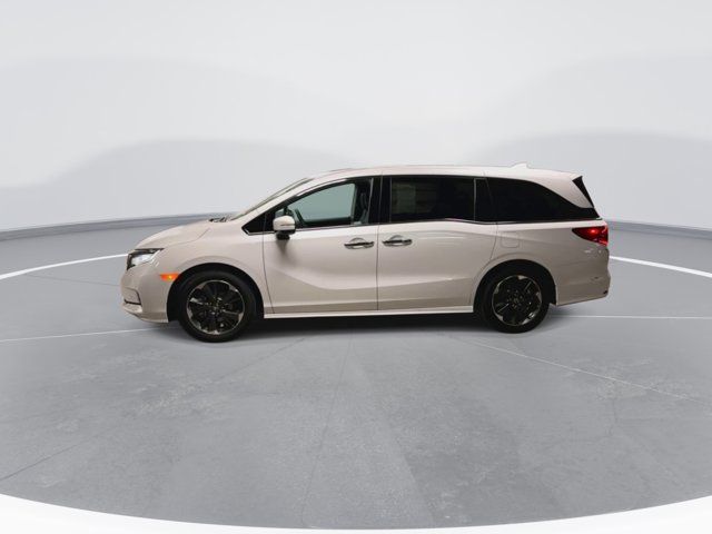 2024 Honda Odyssey Elite