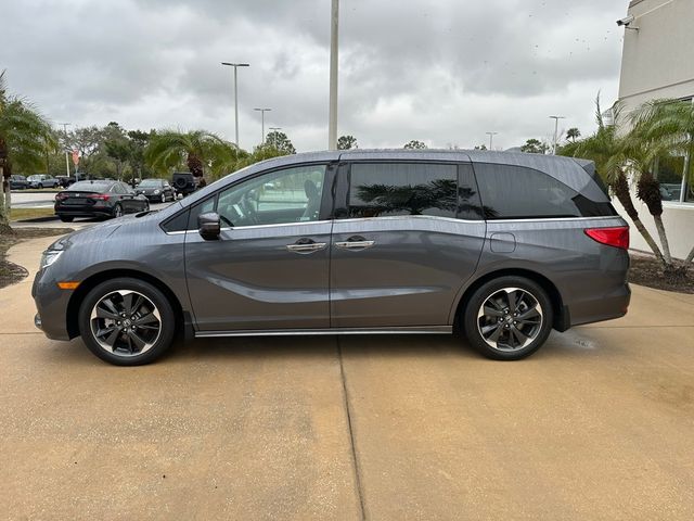 2024 Honda Odyssey Elite