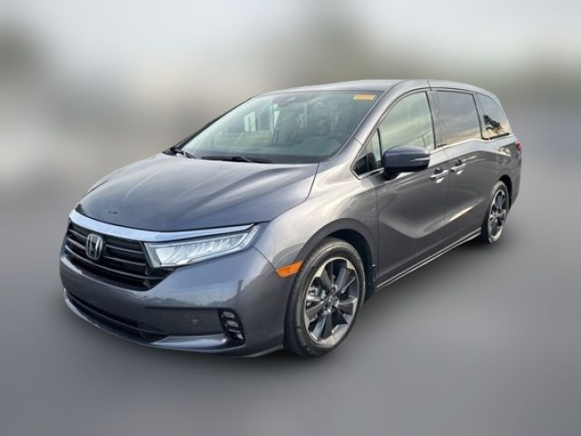 2024 Honda Odyssey Elite