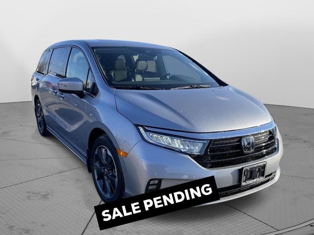 2024 Honda Odyssey Elite