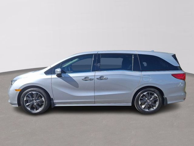 2024 Honda Odyssey Elite