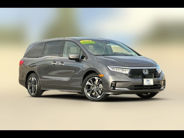 2024 Honda Odyssey Elite