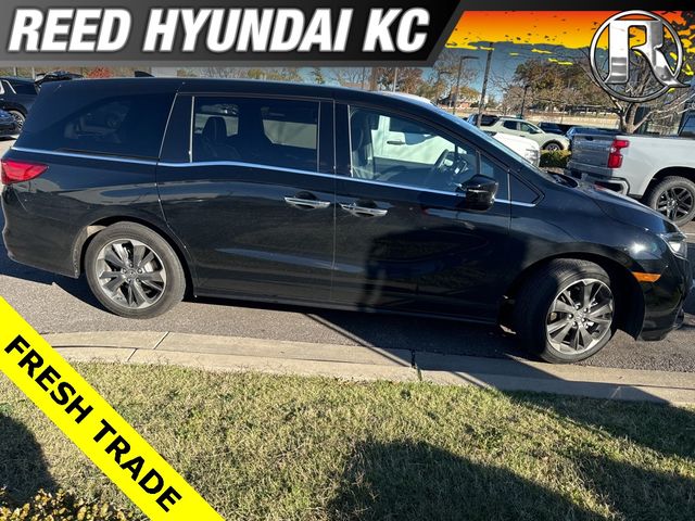 2024 Honda Odyssey Elite