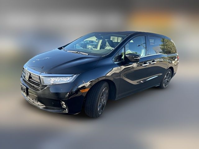 2024 Honda Odyssey Elite