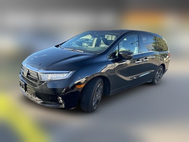 2024 Honda Odyssey Elite