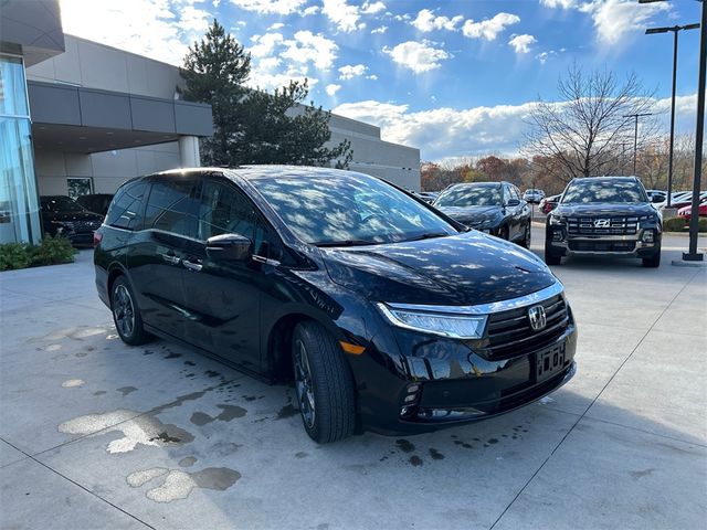 2024 Honda Odyssey Elite