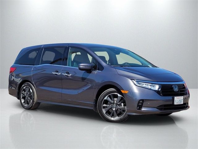 2024 Honda Odyssey Elite