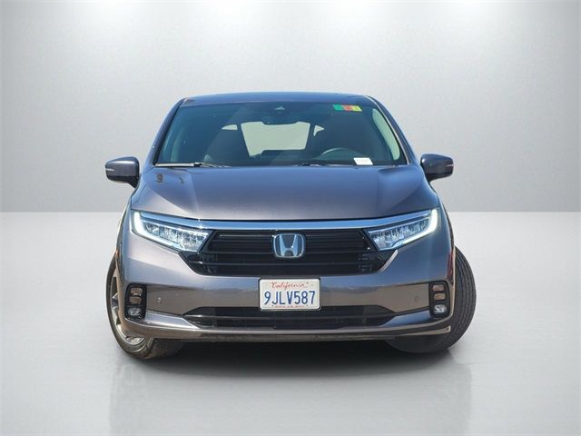 2024 Honda Odyssey Elite