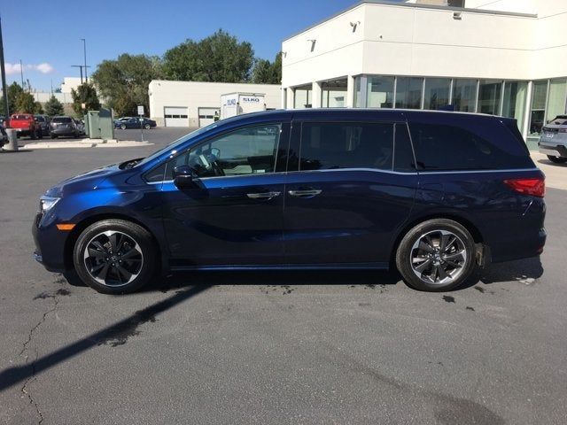 2024 Honda Odyssey Elite