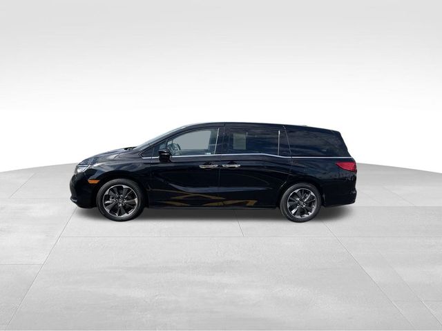 2024 Honda Odyssey Elite