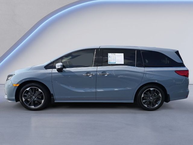 2024 Honda Odyssey Elite