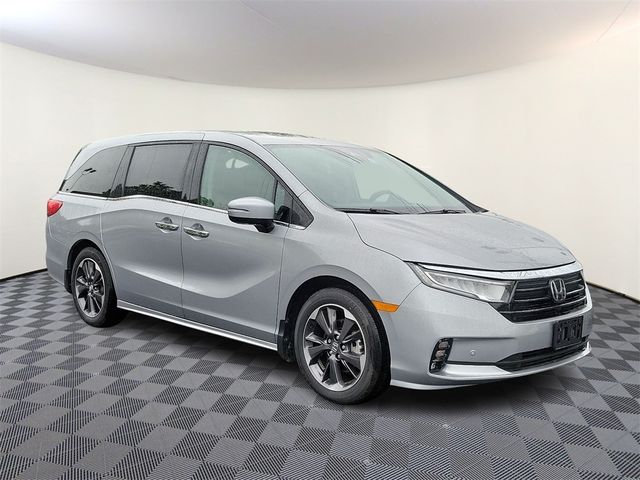 2024 Honda Odyssey Elite