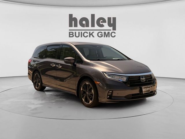 2024 Honda Odyssey Elite