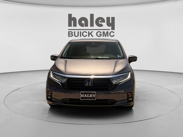 2024 Honda Odyssey Elite