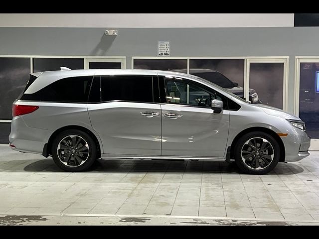 2024 Honda Odyssey Elite