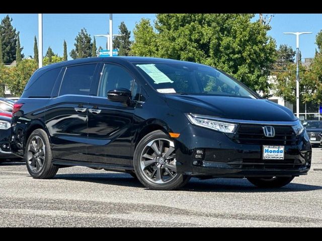 2024 Honda Odyssey Elite