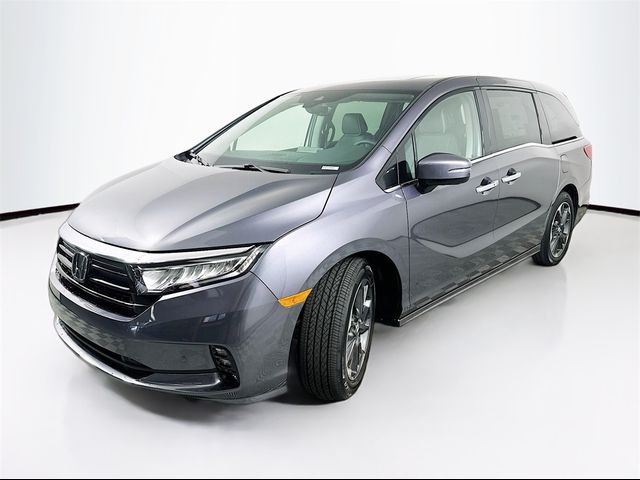 2024 Honda Odyssey Elite