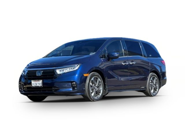 2024 Honda Odyssey Elite