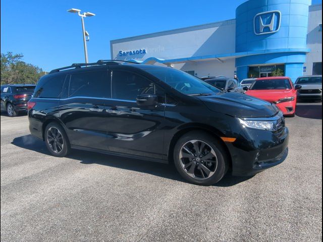 2024 Honda Odyssey Elite