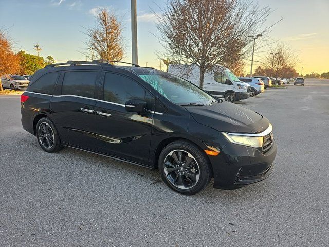 2024 Honda Odyssey Elite