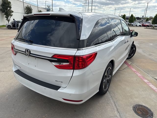 2024 Honda Odyssey Elite