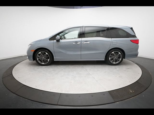 2024 Honda Odyssey Elite