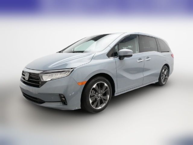 2024 Honda Odyssey Elite