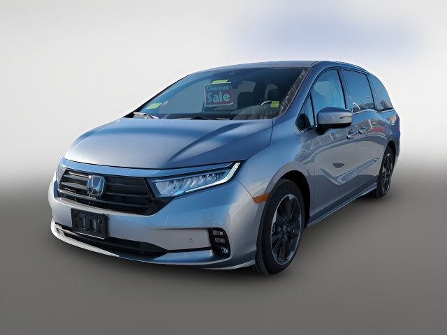 2024 Honda Odyssey Elite