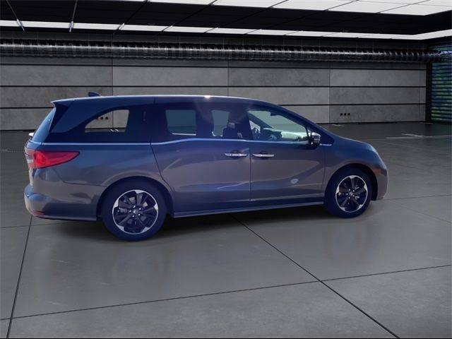 2024 Honda Odyssey Elite