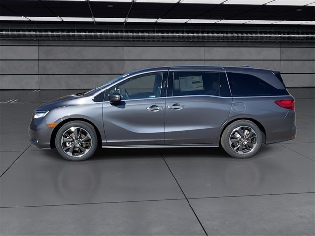 2024 Honda Odyssey Elite