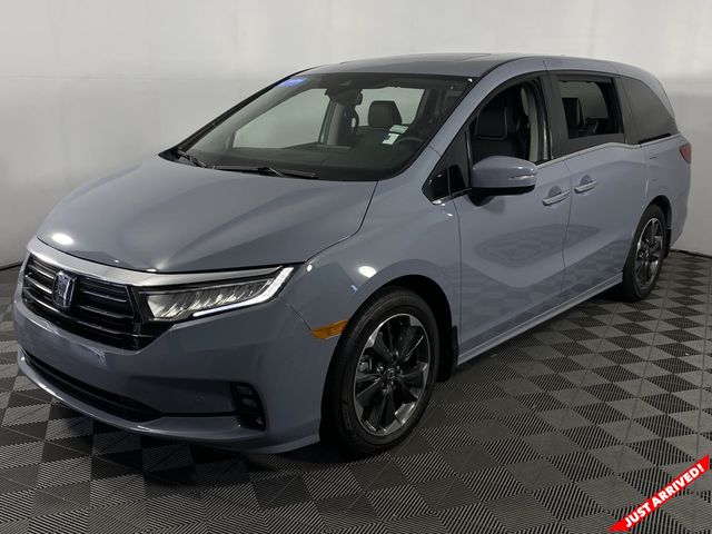 2024 Honda Odyssey Elite