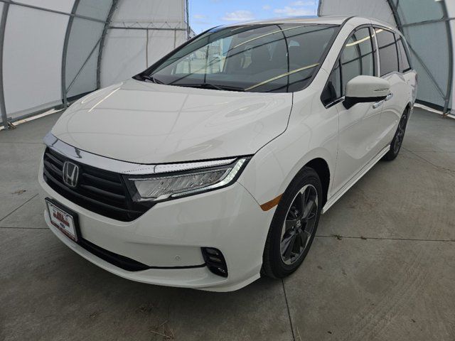 2024 Honda Odyssey Elite