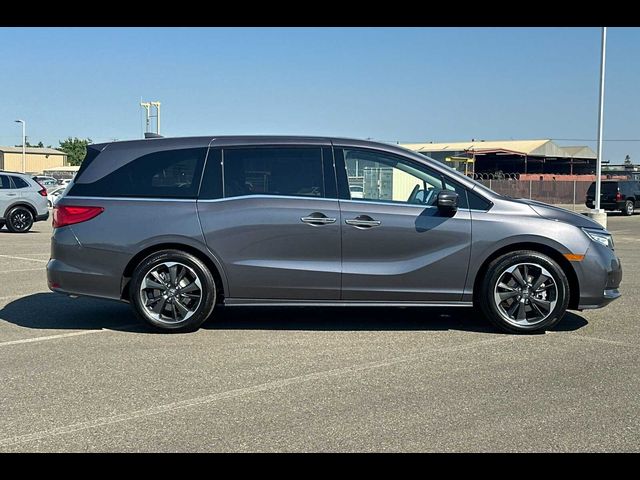 2024 Honda Odyssey Elite