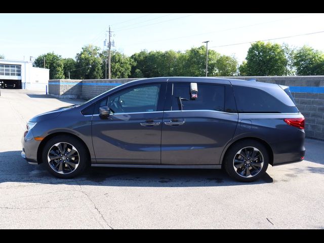 2024 Honda Odyssey Elite