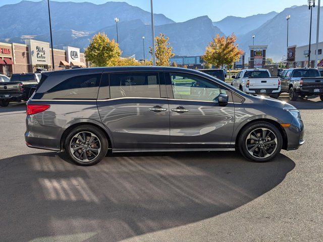 2024 Honda Odyssey Elite