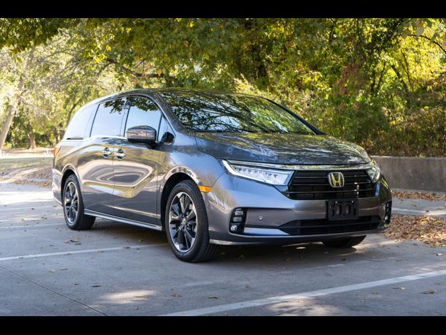 2024 Honda Odyssey Elite