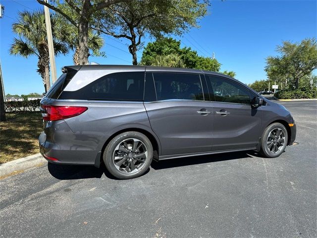 2024 Honda Odyssey Elite