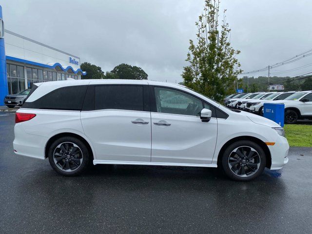 2024 Honda Odyssey Elite