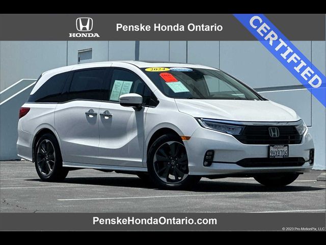 2024 Honda Odyssey Elite