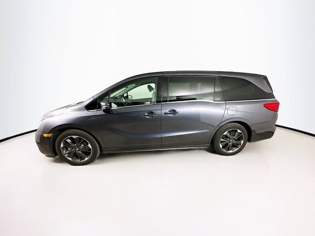 2024 Honda Odyssey Elite