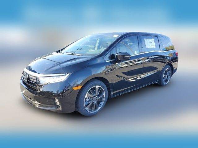 2024 Honda Odyssey Elite