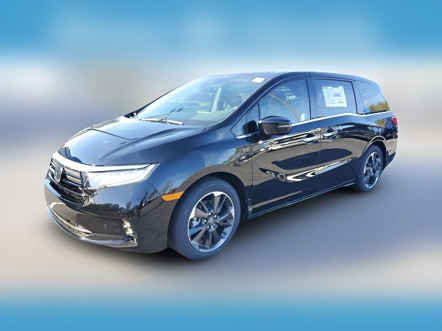 2024 Honda Odyssey Elite